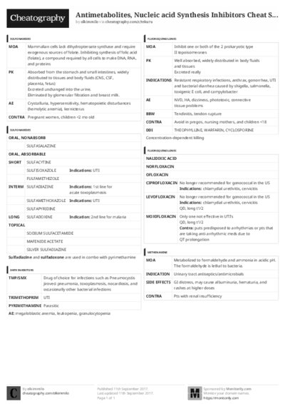 PDF (Black & white) — Style 3