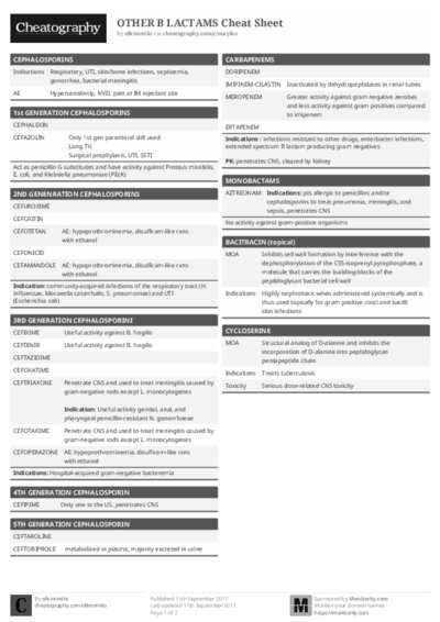 PDF (Black & white) — Style 1