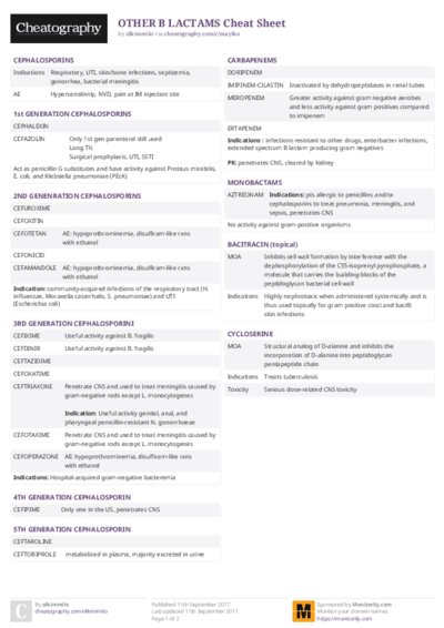 PDF (Colour) — Style 2