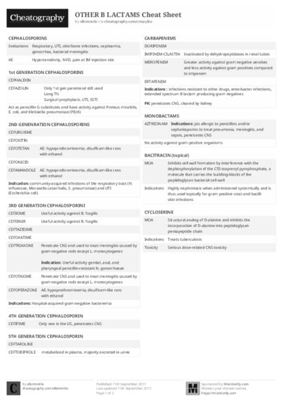 PDF (Black & white) — Style 2
