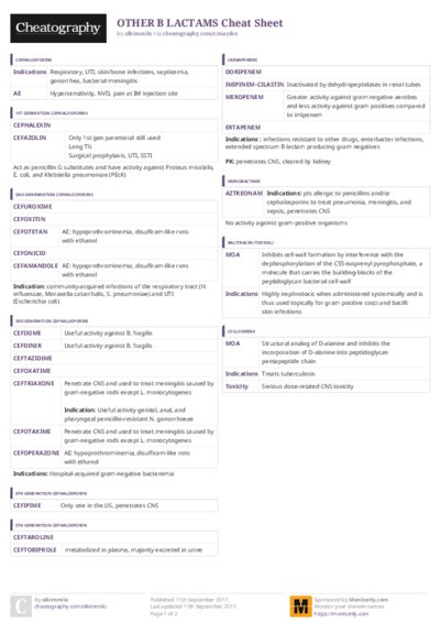 PDF (Colour) — Style 3