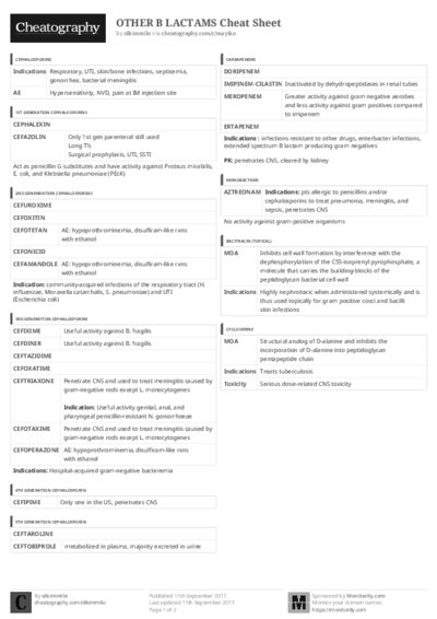 PDF (Black & white) — Style 3