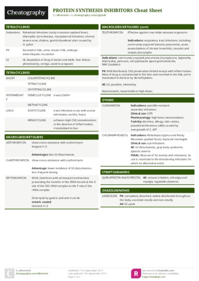 PDF (Colour) — Style 1