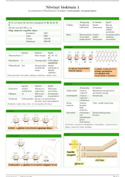 LaTeX (Compiled PDF)