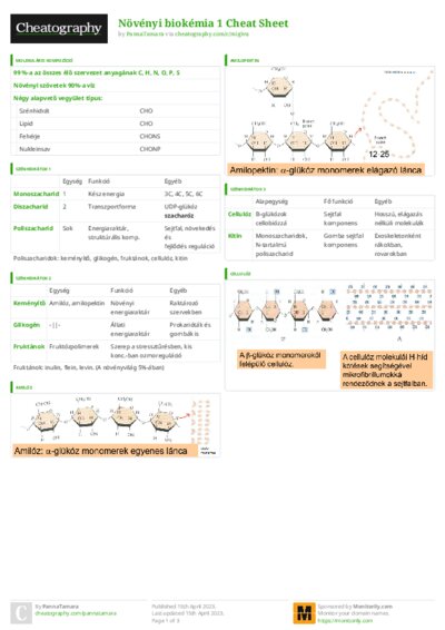 PDF (Colour) — Style 3