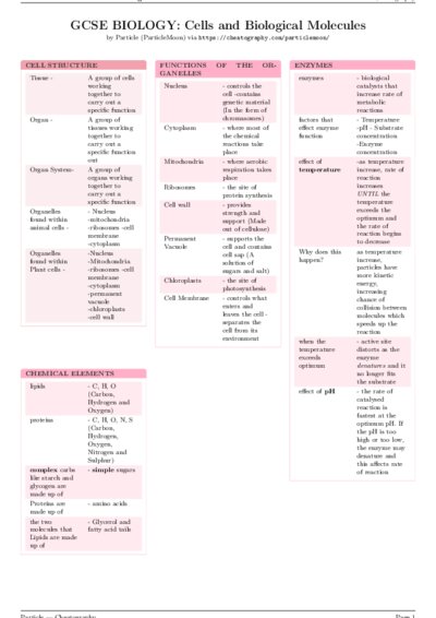 LaTeX (Compiled PDF)