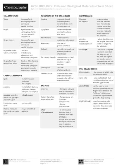 PDF (Black & white) — Style 2