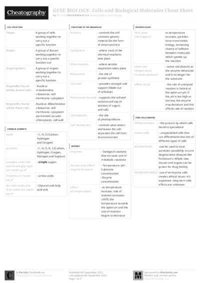PDF (Black & white) — Style 3
