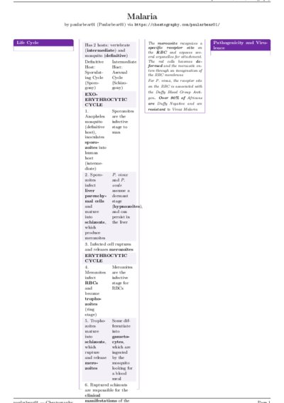LaTeX (Compiled PDF)