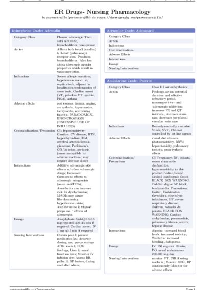 LaTeX (Compiled PDF)