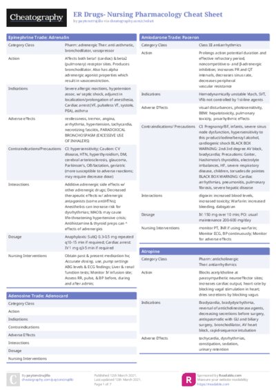 PDF (Colour) — Style 1