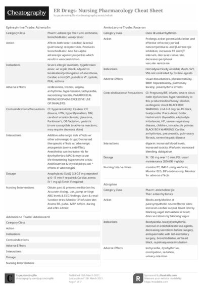PDF (Black & white) — Style 2