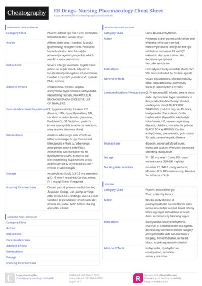 PDF (Colour) — Style 3