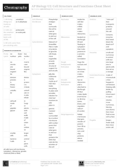 PDF (Black & white) — Style 3