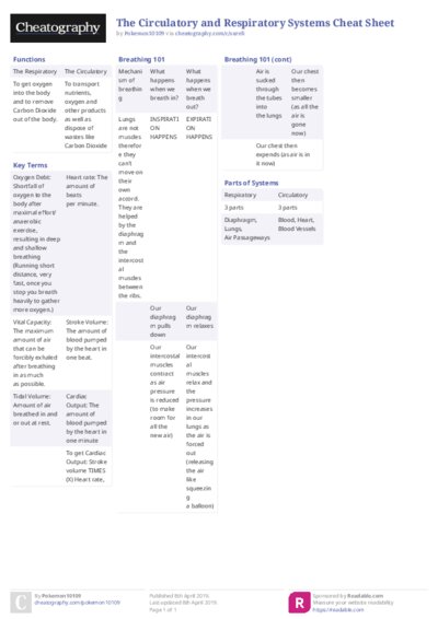 PDF (Colour) — Style 2
