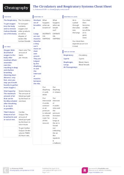 PDF (Colour) — Style 3