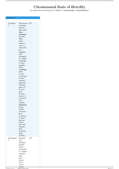 LaTeX (Compiled PDF)