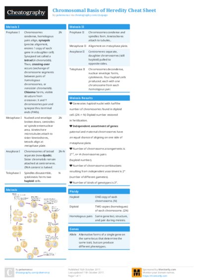 PDF (Colour) — Style 1