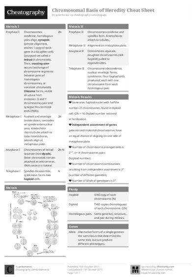 PDF (Black & white) — Style 1