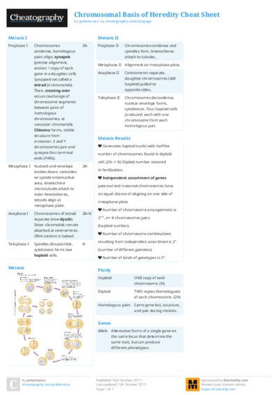 PDF (Colour) — Style 2