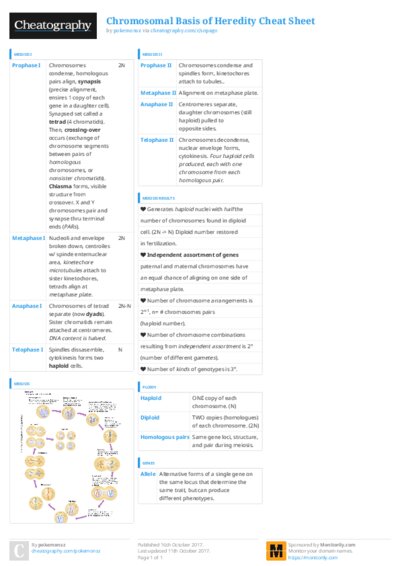 PDF (Colour) — Style 3
