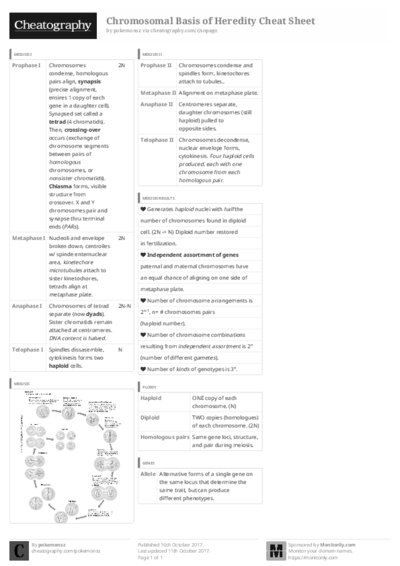 PDF (Black & white) — Style 3