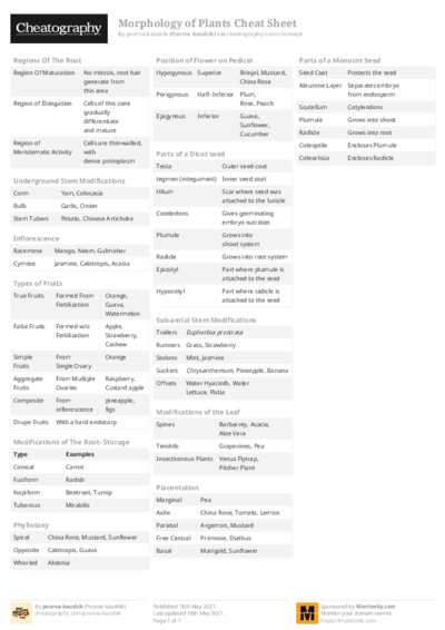 Morphology of Plants Cheat Sheet