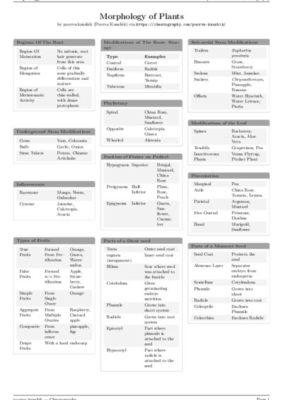 LaTeX (Compiled PDF)