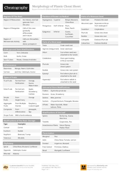 PDF (Colour) — Style 1