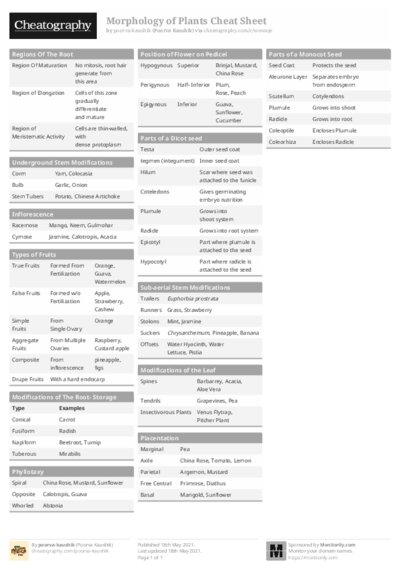 PDF (Black & white) — Style 1