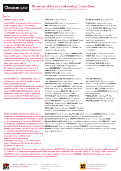 PDF (Colour) — Style 3