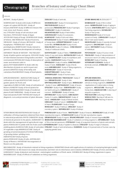 PDF (Black & white) — Style 3