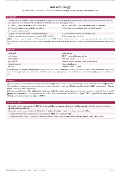 LaTeX (Compiled PDF)