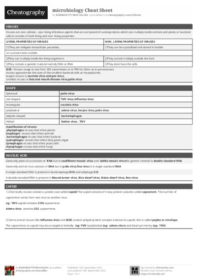 PDF (Black & white) — Style 1
