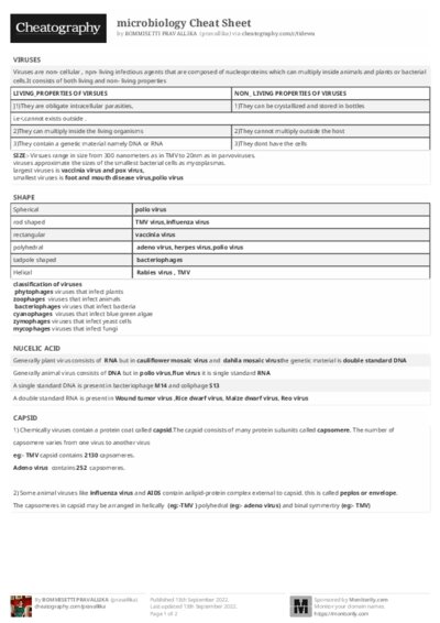 PDF (Black & white) — Style 2