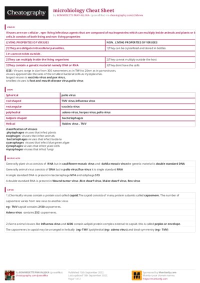 PDF (Colour) — Style 3