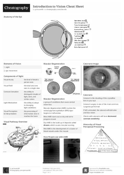 PDF (Black & white) — Style 2