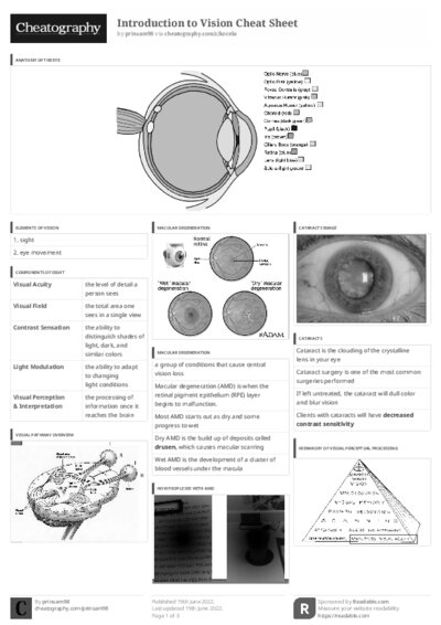 PDF (Black & white) — Style 3