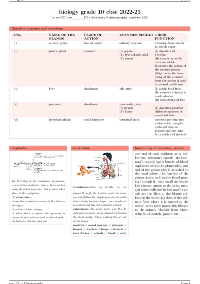 LaTeX (Compiled PDF)