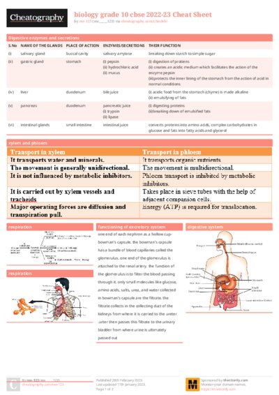 PDF (Colour) — Style 1