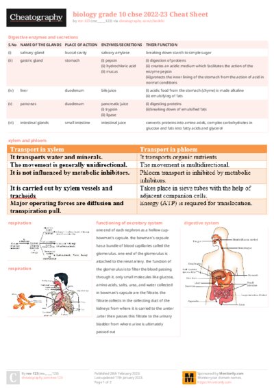 PDF (Colour) — Style 2