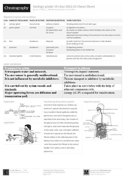 PDF (Black & white) — Style 2