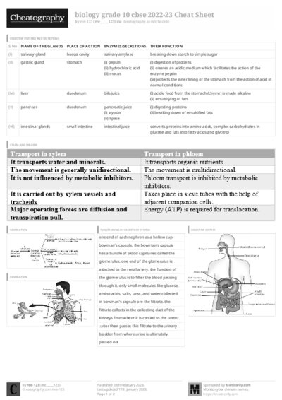 PDF (Black & white) — Style 3