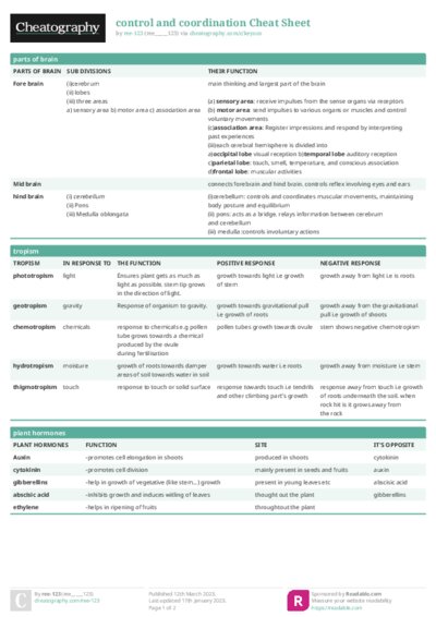 PDF (Colour) — Style 1