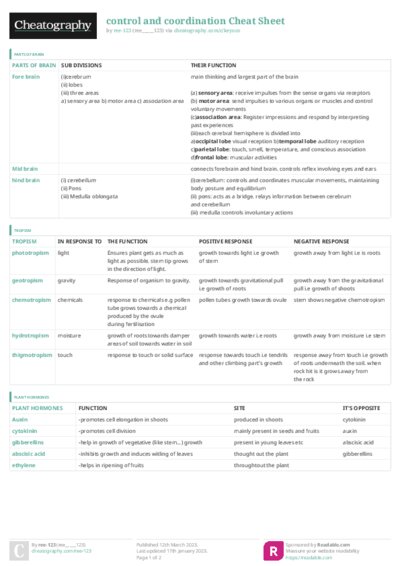 PDF (Colour) — Style 3