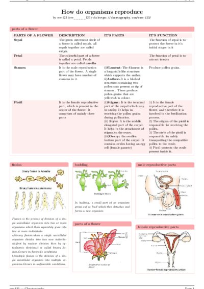 LaTeX (Compiled PDF)