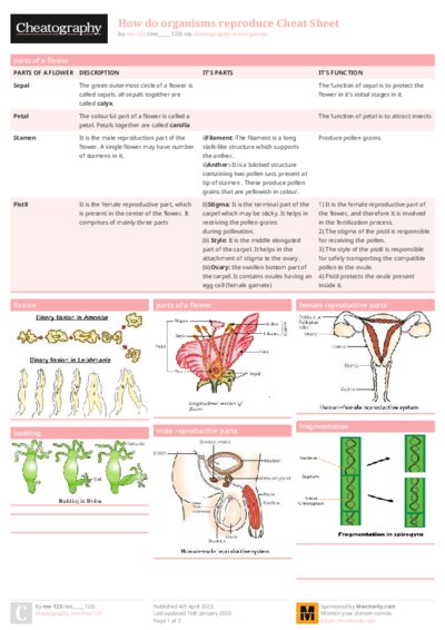 PDF (Colour) — Style 1