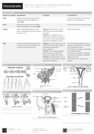 PDF (Black & white) — Style 1