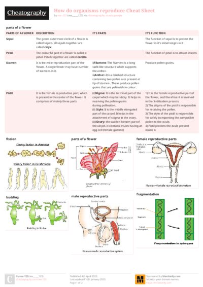 PDF (Colour) — Style 2