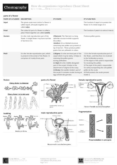 PDF (Black & white) — Style 2